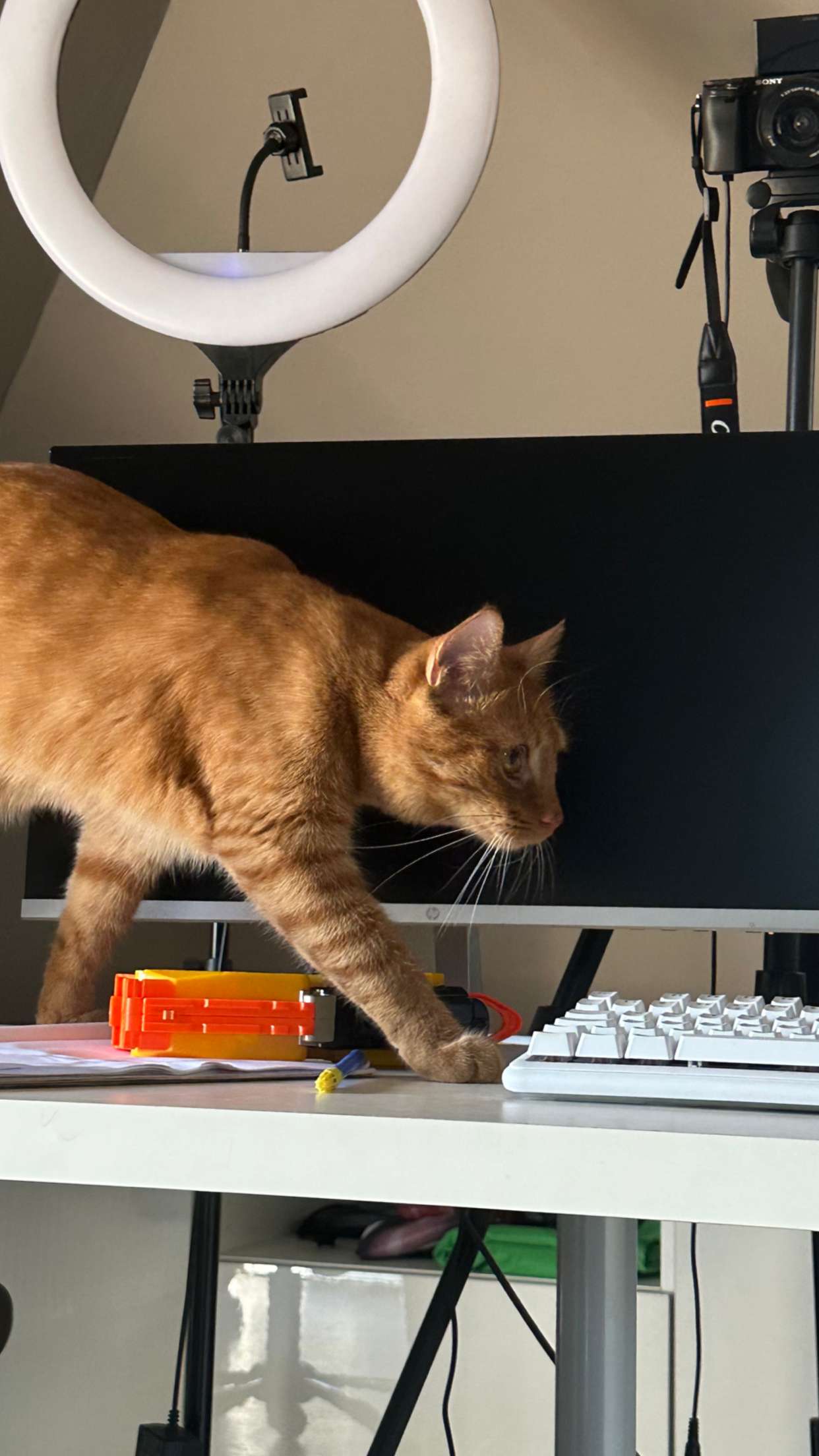 mira.0004 snapchat image archive image