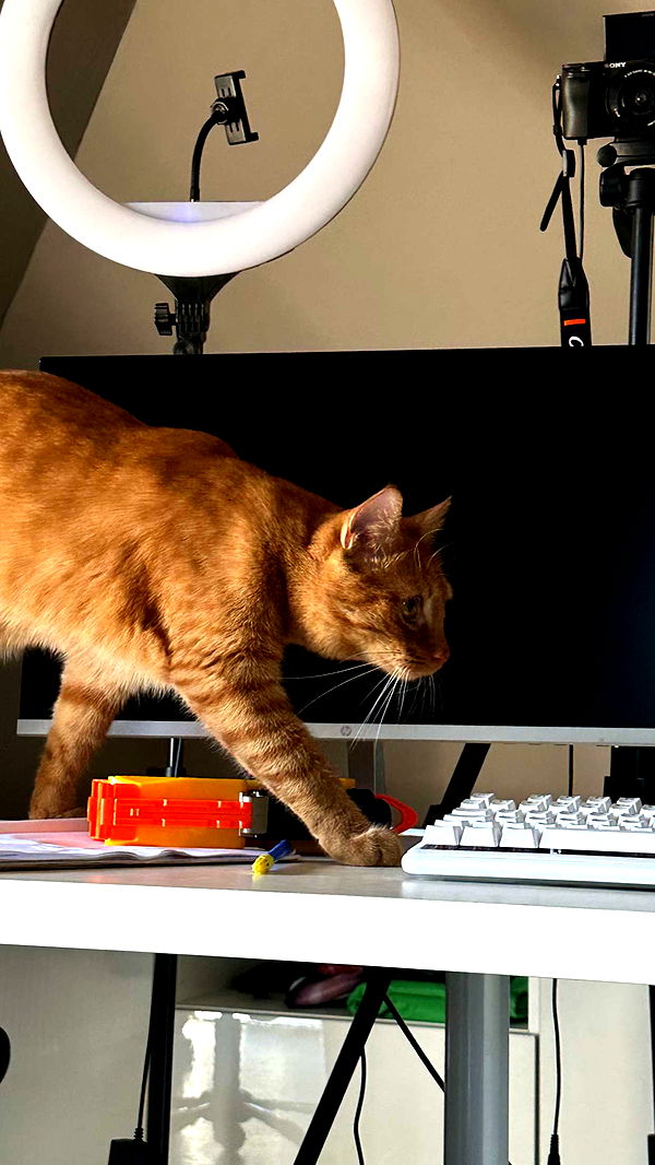 mira.0004 image ~ Altpins