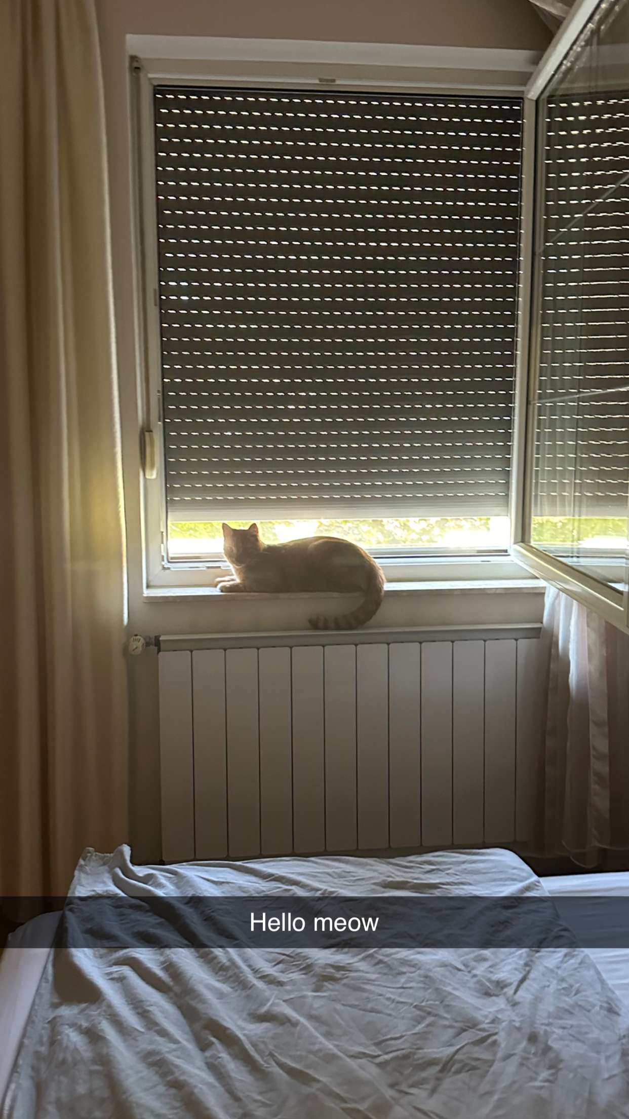 mira.0004 snapchat image archive image