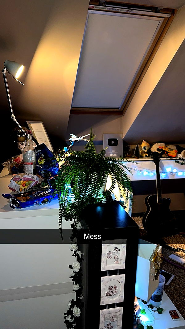 mira.0004 image ~ Altpins