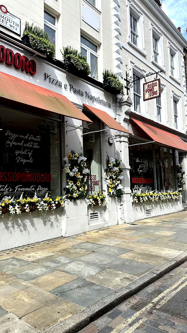 mira.0004 image ~ Altpins