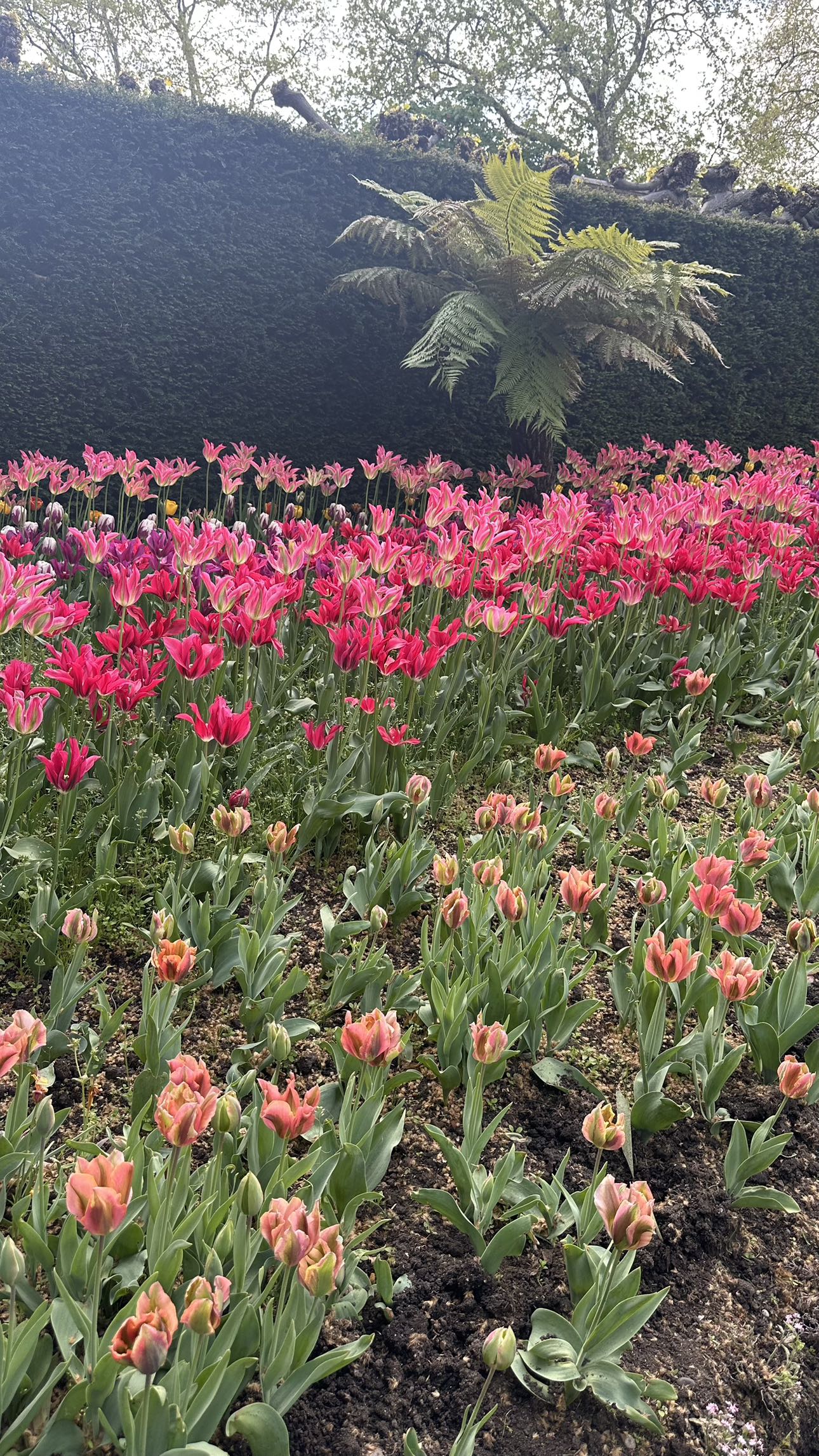 mira.0004 snapchat image archive image