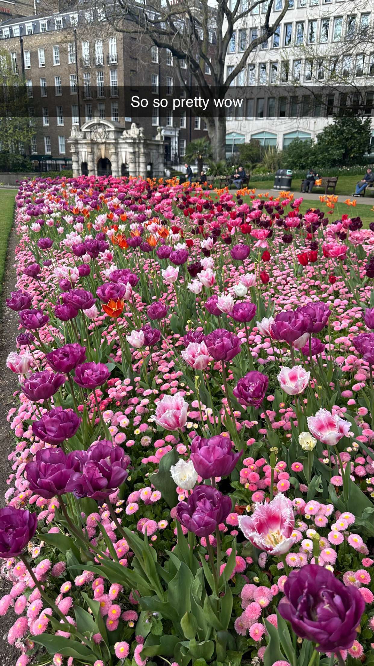 mira.0004 snapchat image archive image