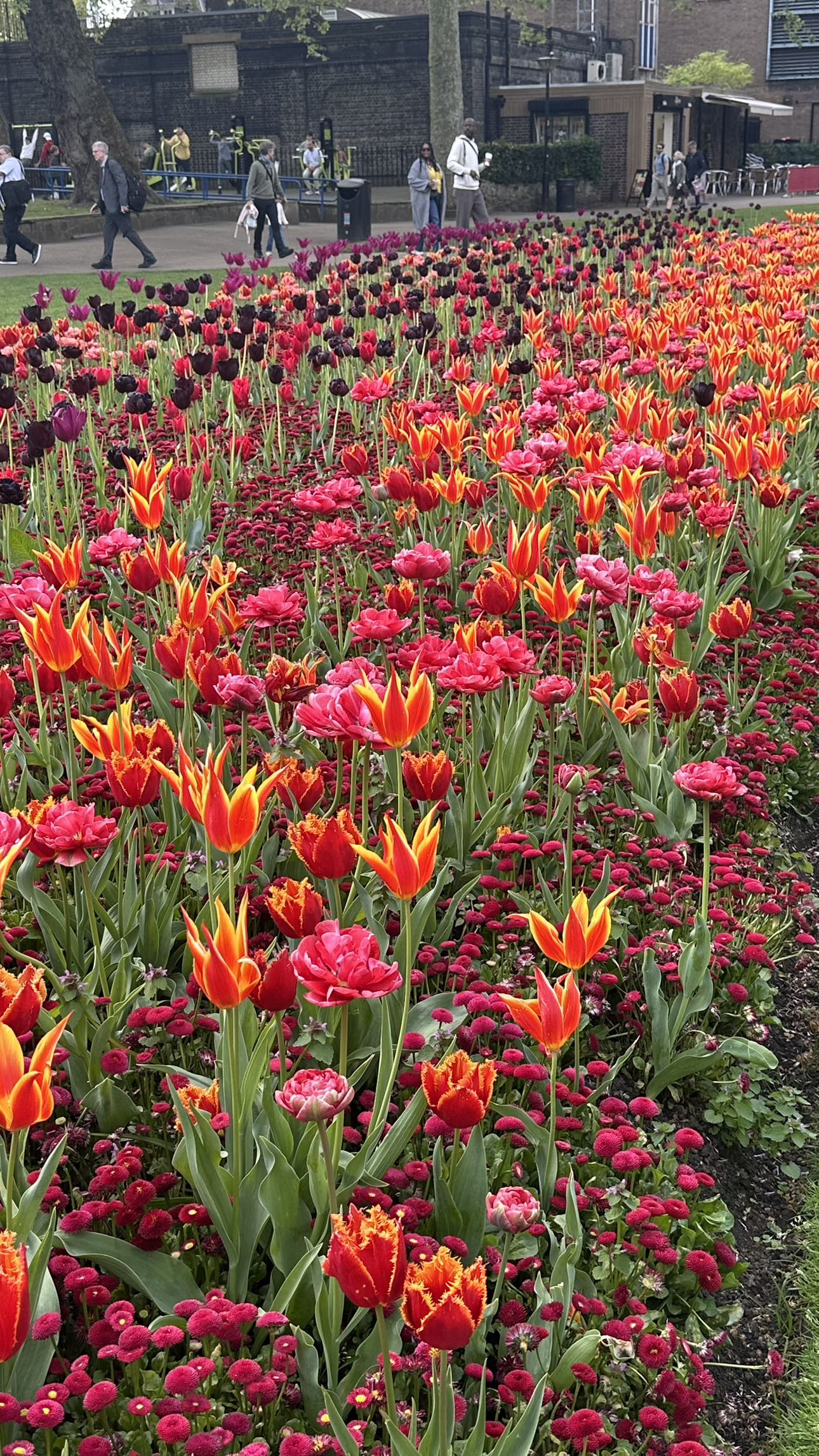 mira.0004 snapchat image archive image