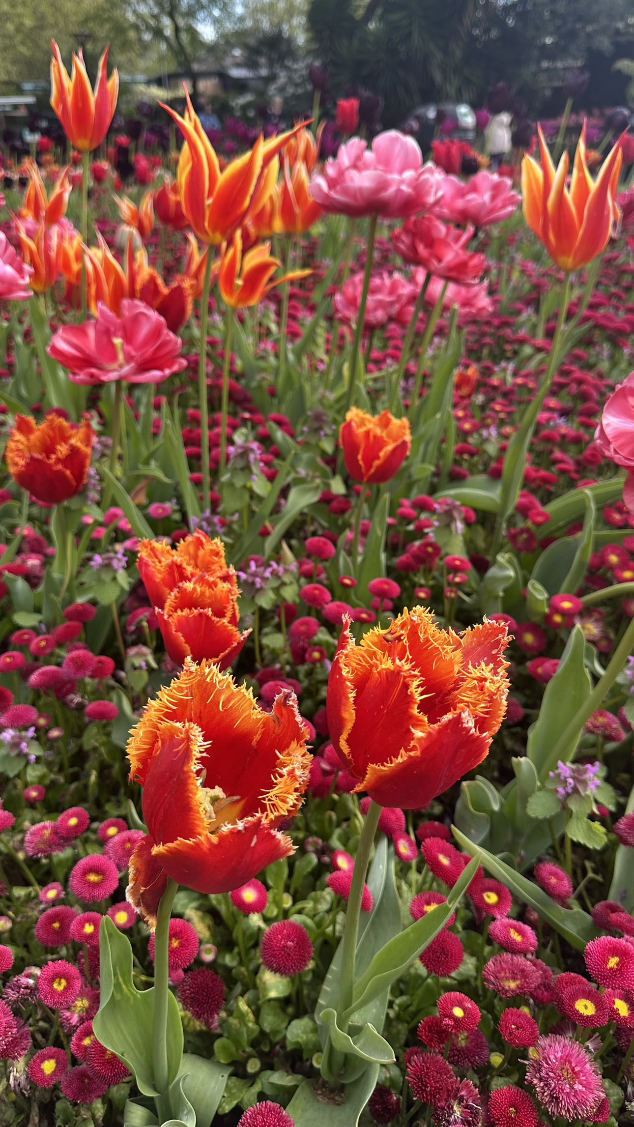 mira.0004 snapchat image archive image