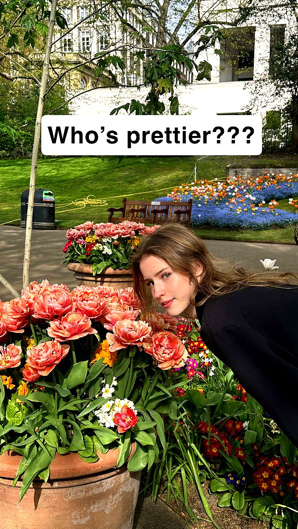 mira.0004 image ~ Altpins