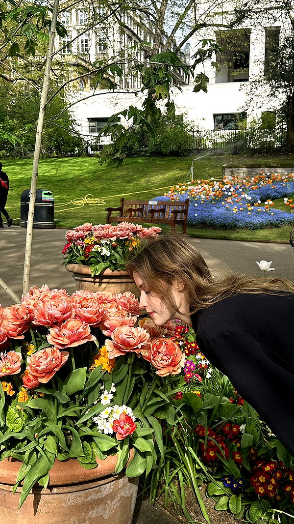 mira.0004 image ~ Altpins