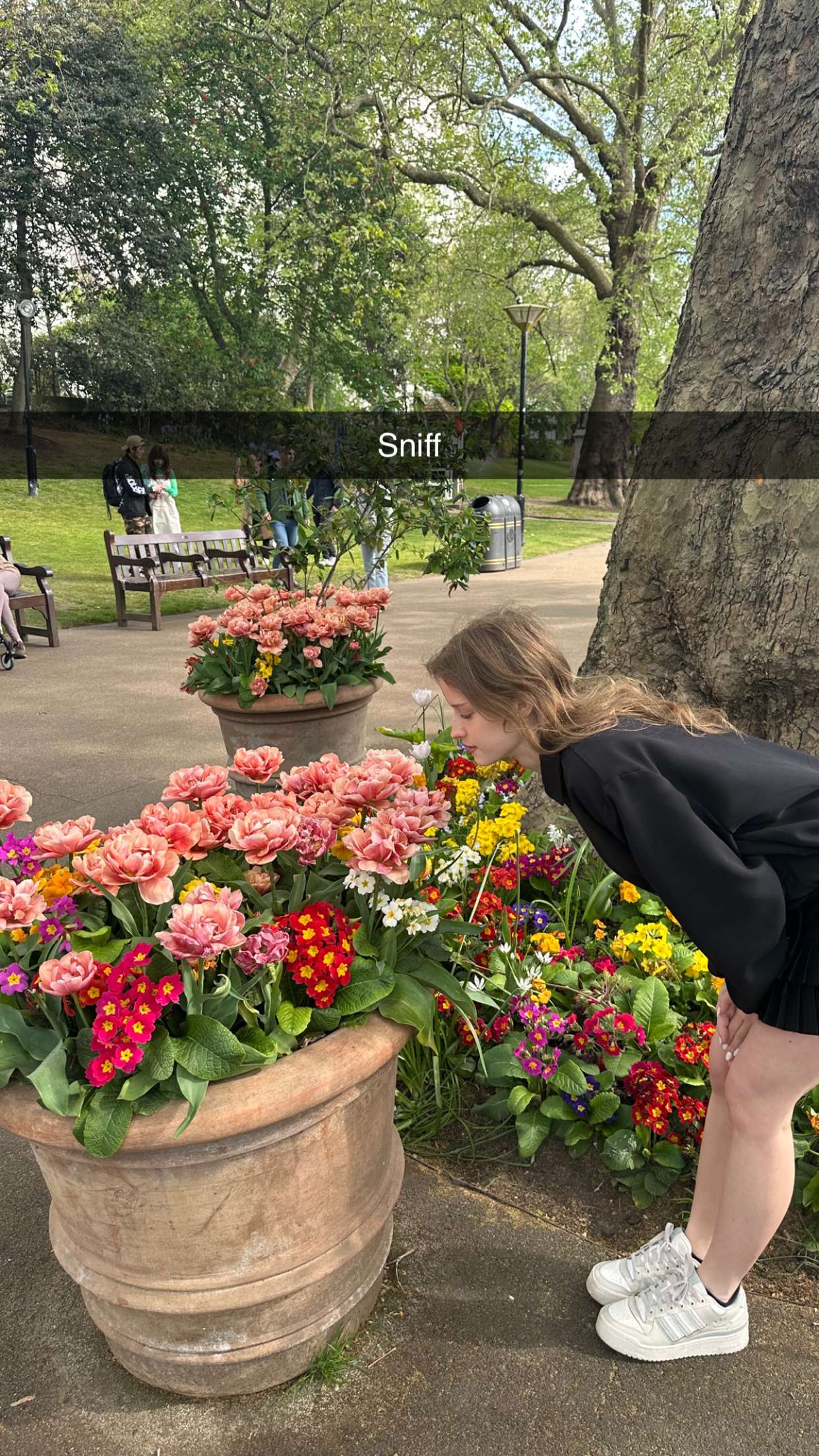 mira.0004 snapchat image archive image