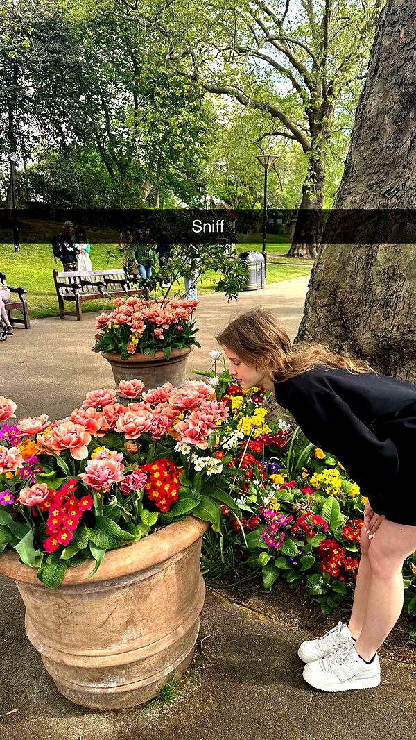 mira.0004 image ~ Altpins