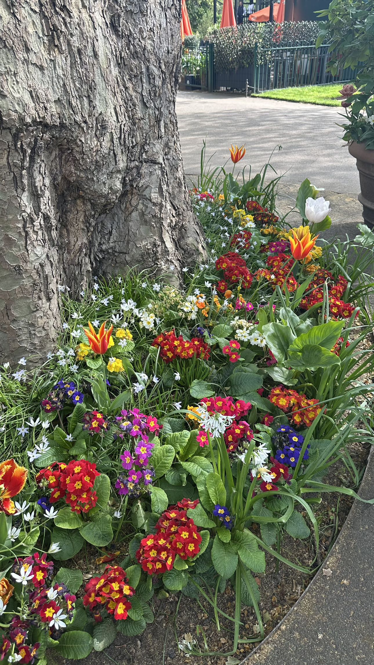 mira.0004 snapchat image archive image