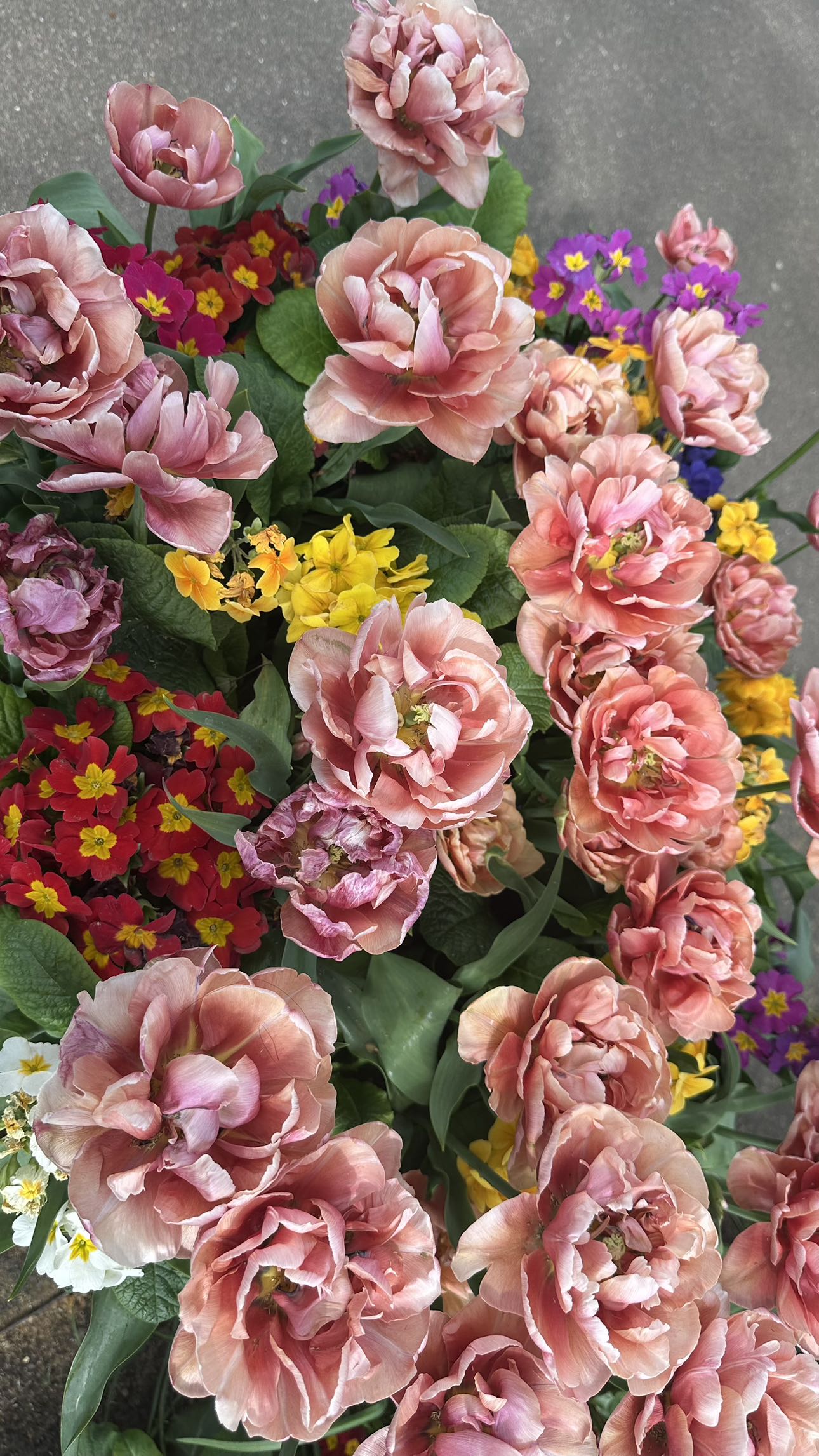 mira.0004 snapchat image archive image