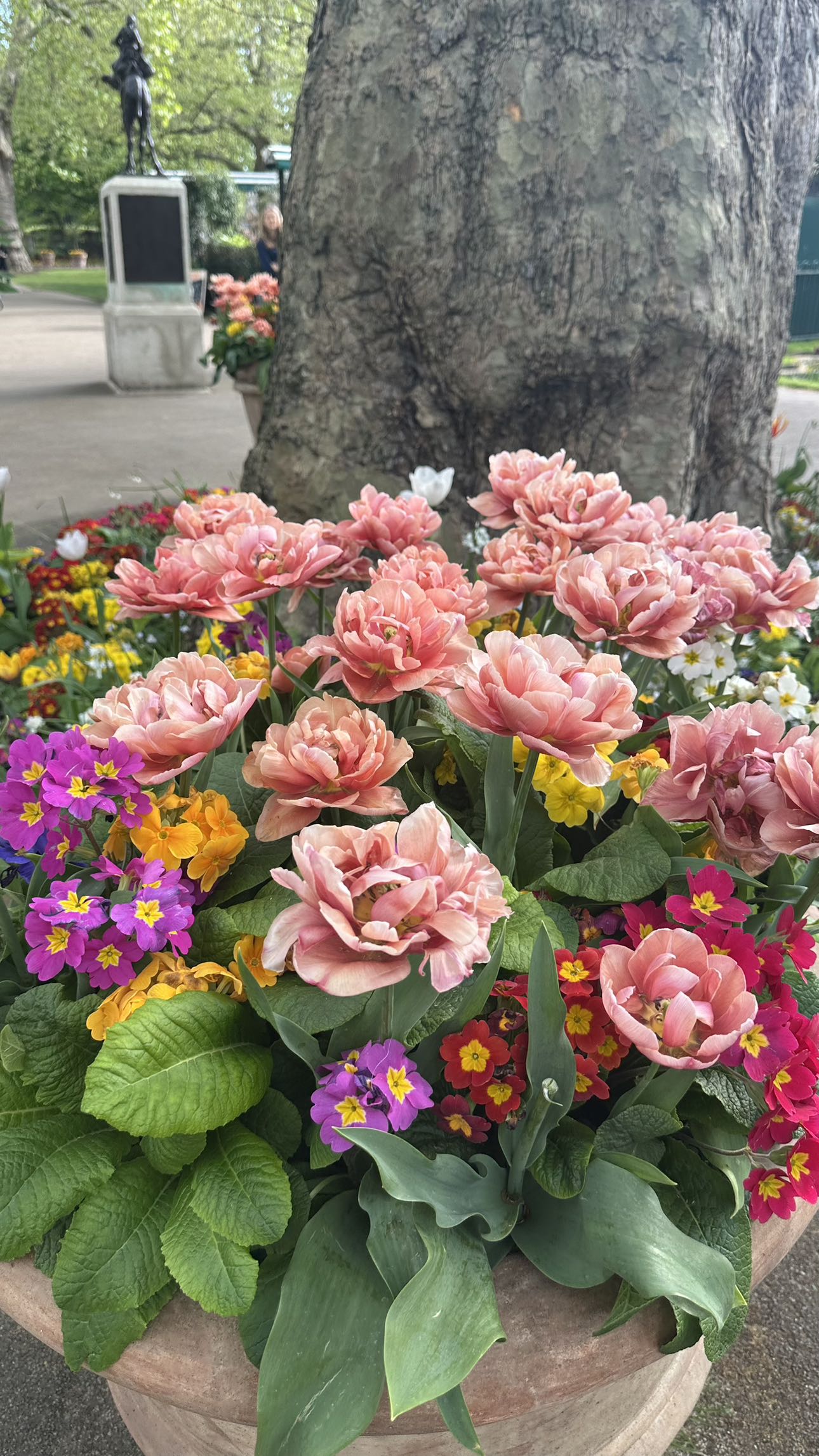 mira.0004 snapchat image archive image