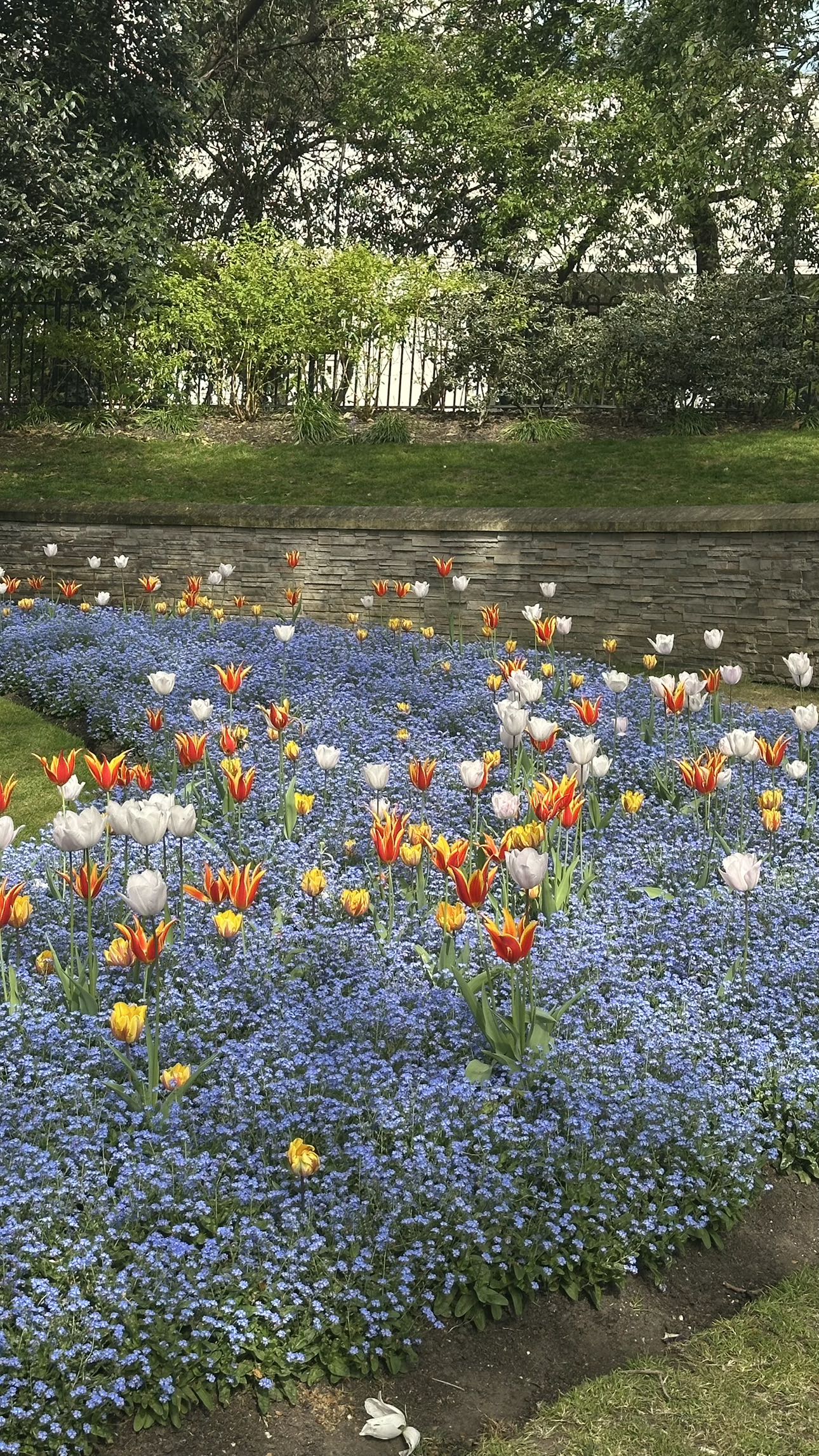 mira.0004 snapchat image archive image