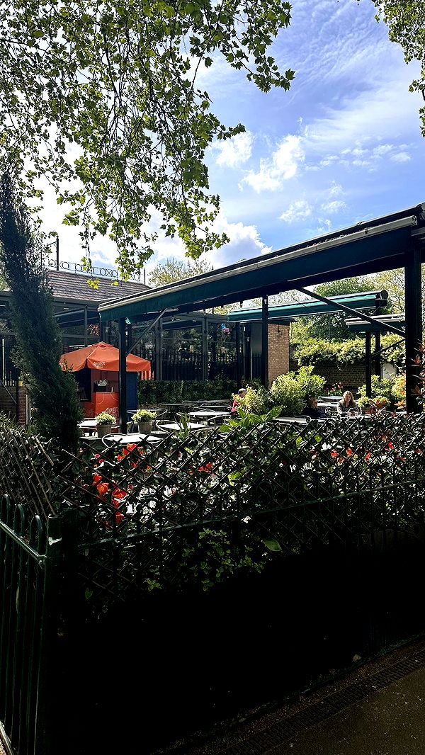 mira.0004 image ~ Altpins