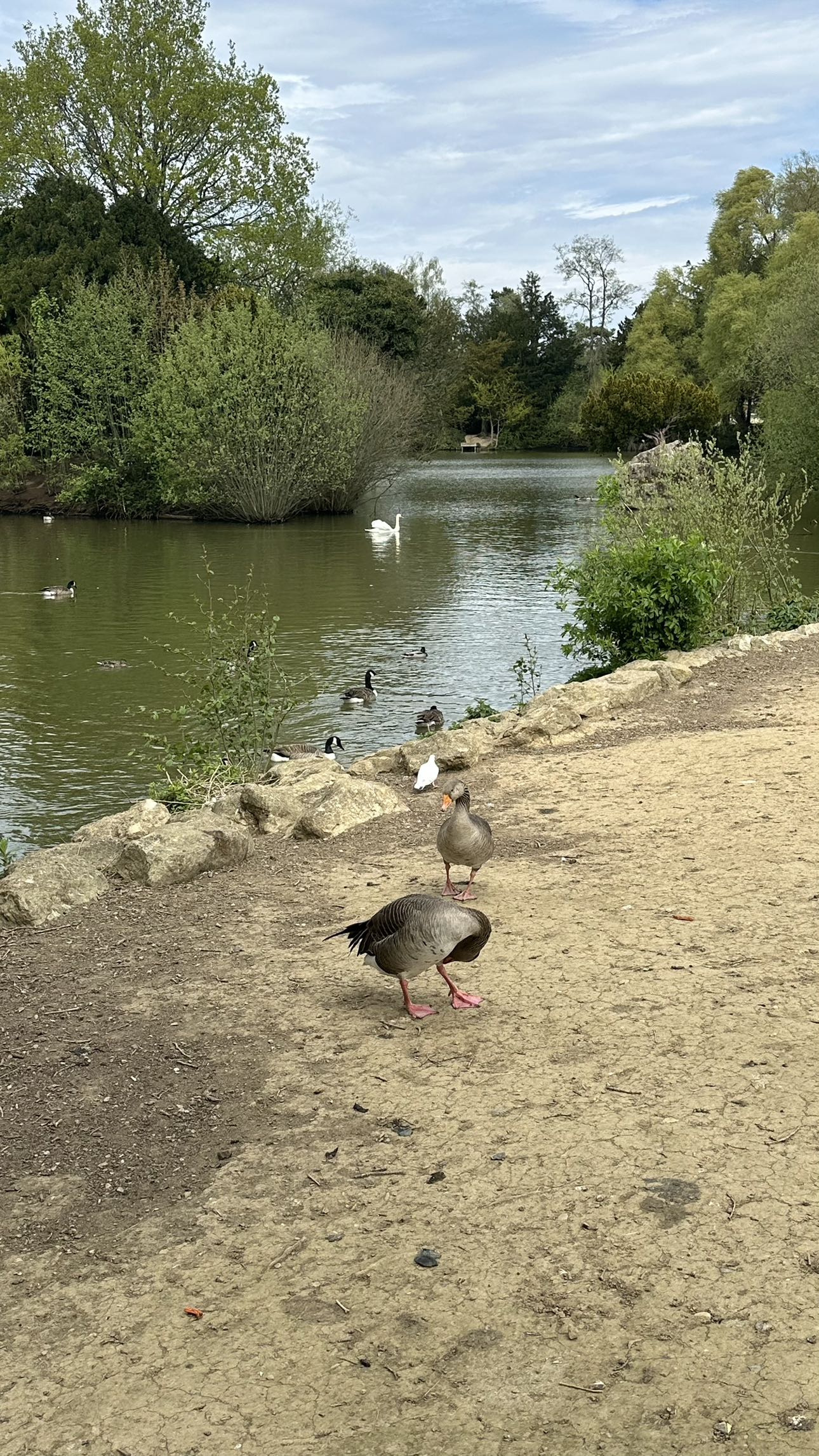 mira.0004 snapchat image archive image