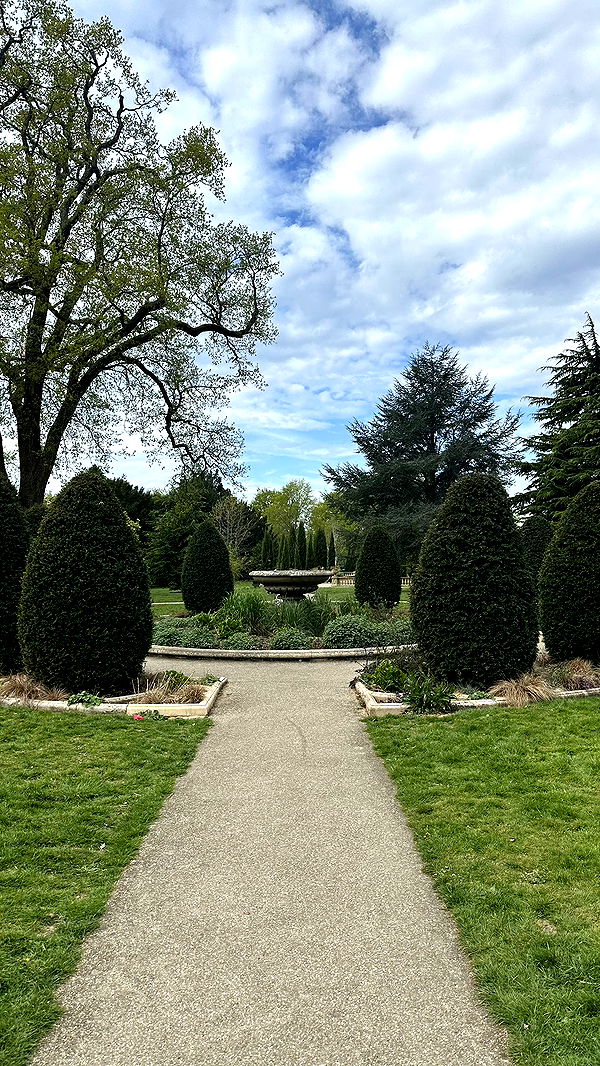 mira.0004 image ~ Altpins