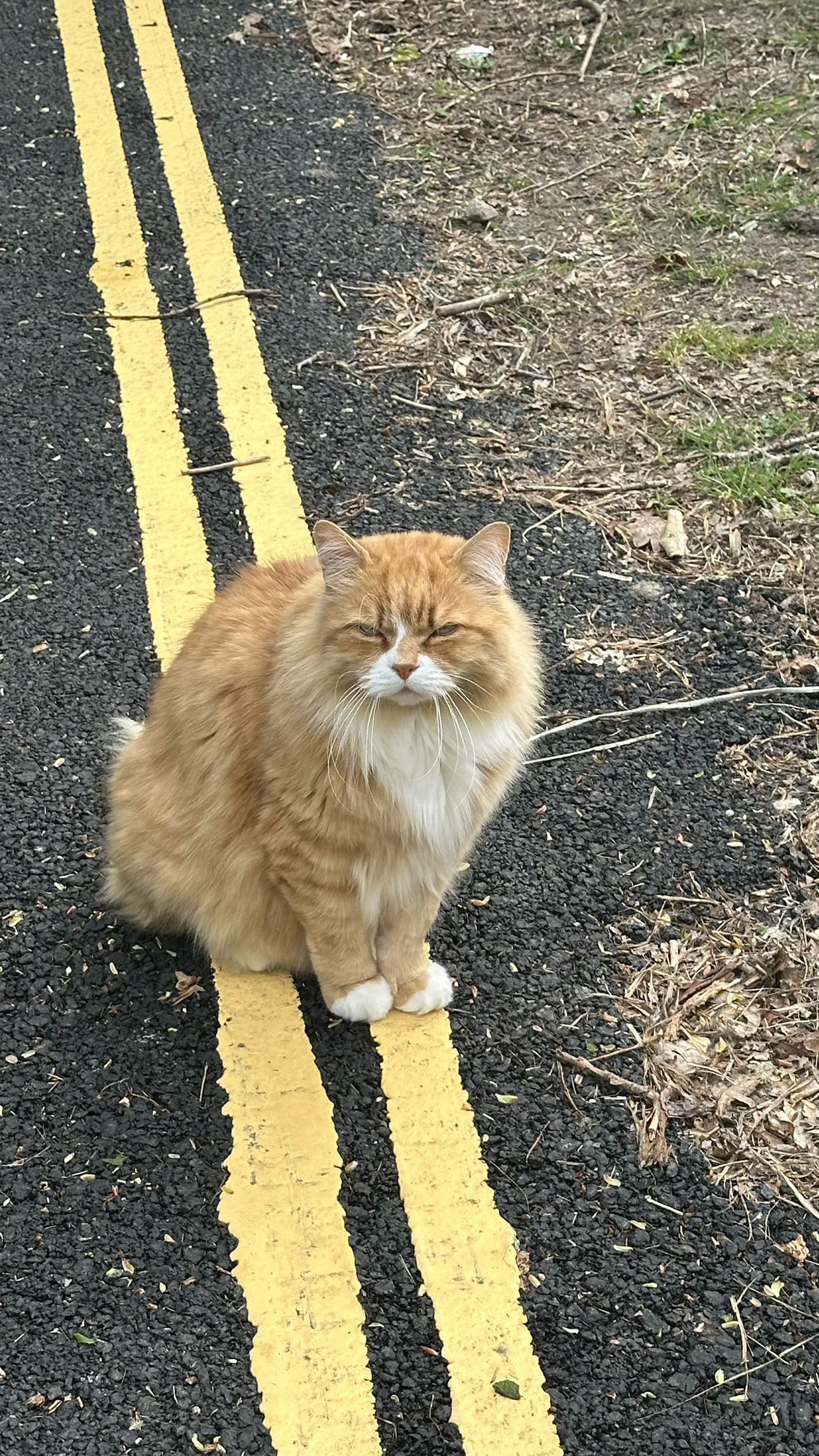 mira.0004 snapchat image archive image