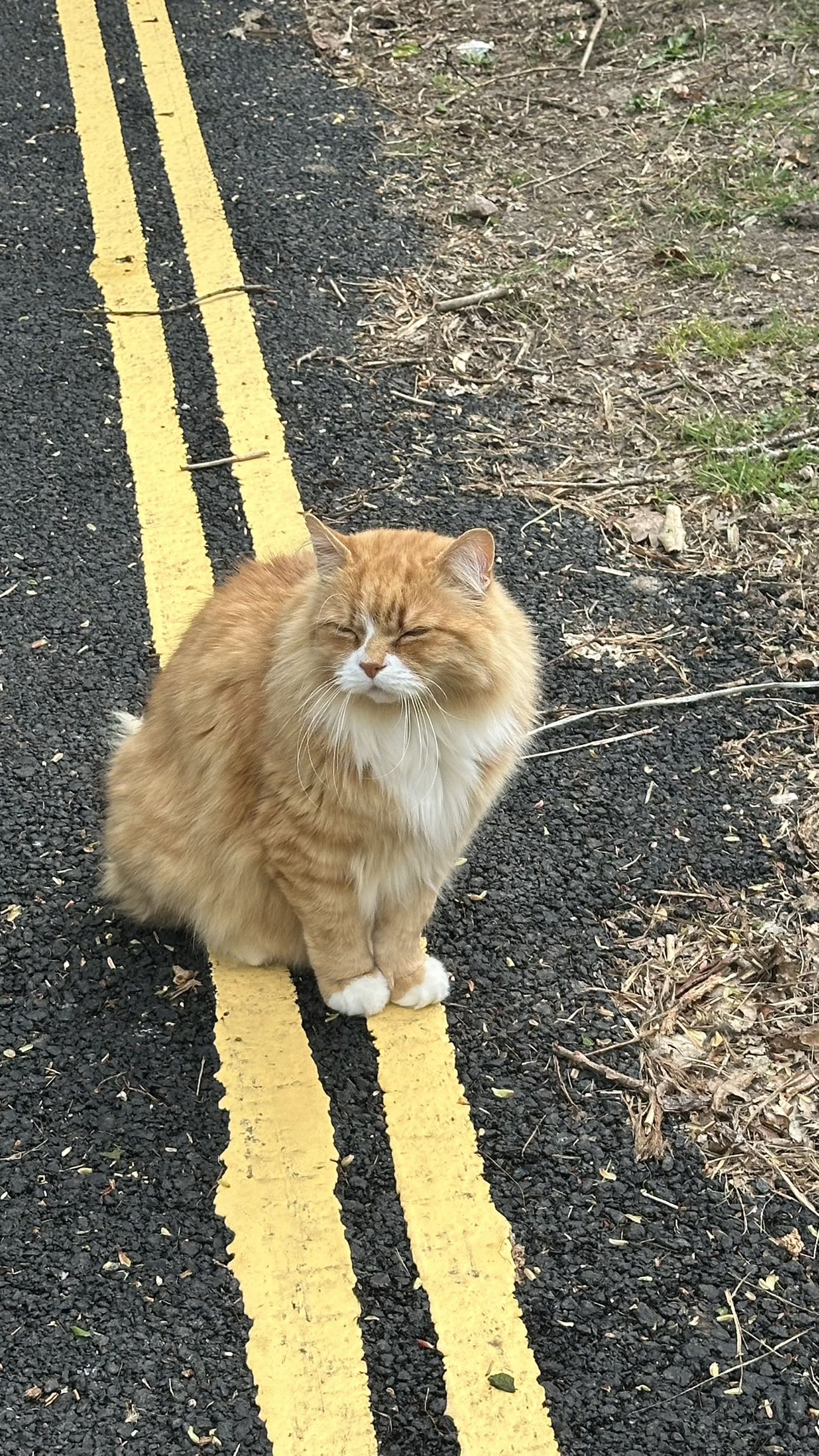 mira.0004 snapchat image archive image