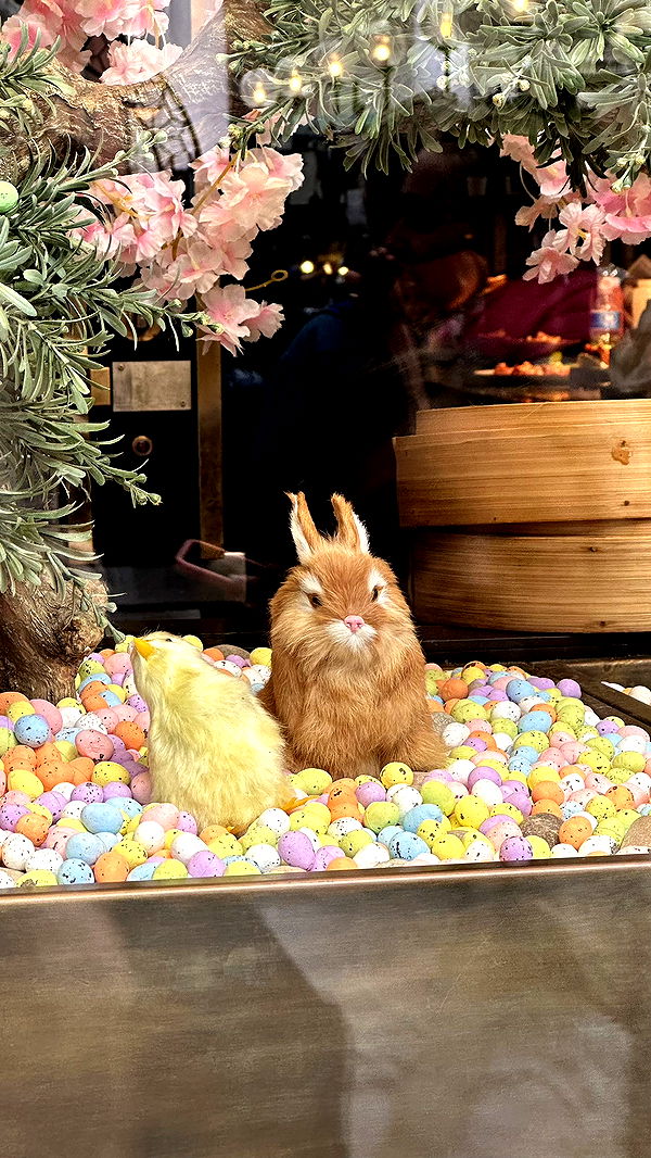 mira.0004 image ~ Altpins