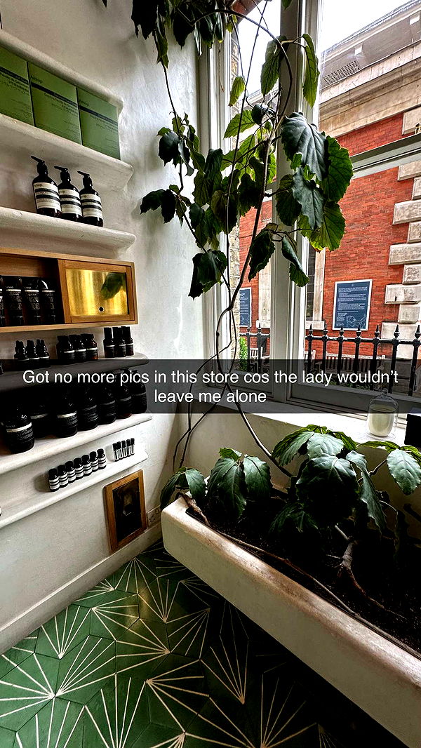 mira.0004 image ~ Altpins