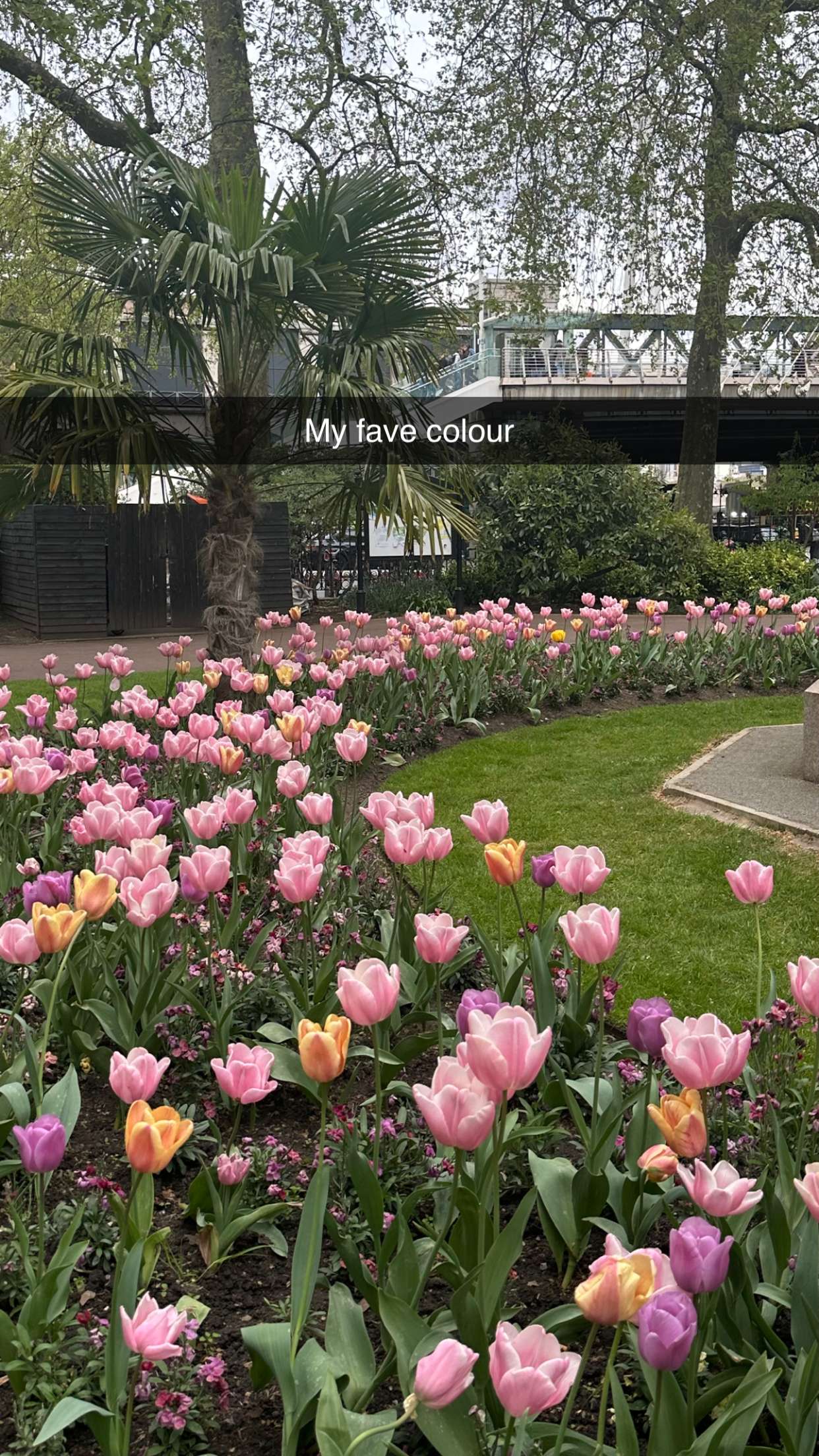 mira.0004 snapchat image archive image