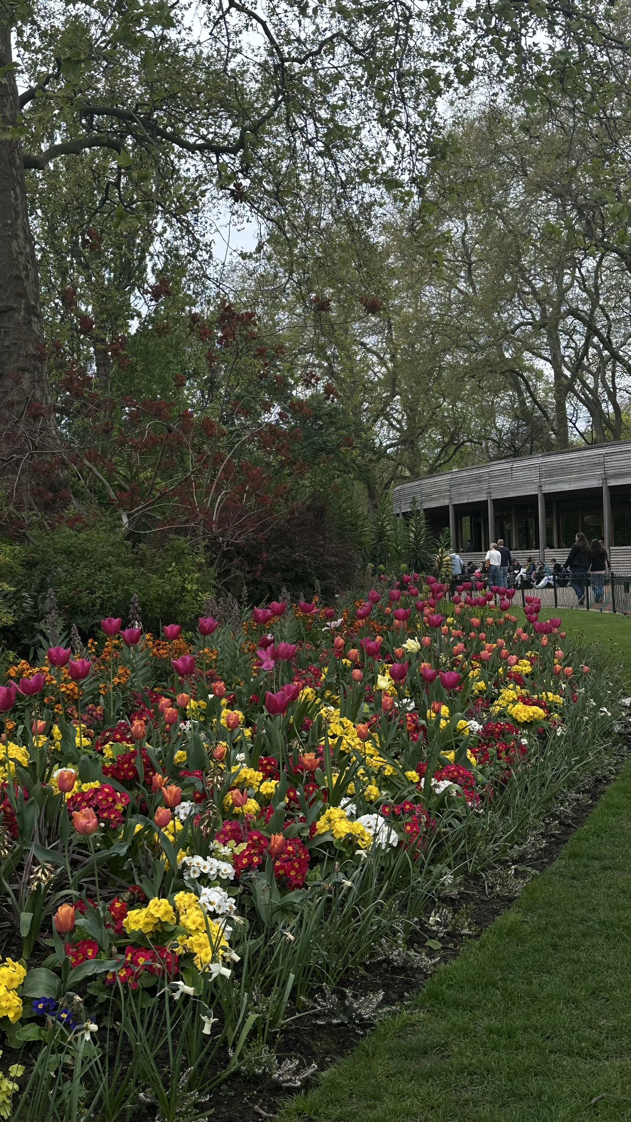 mira.0004 snapchat image archive image