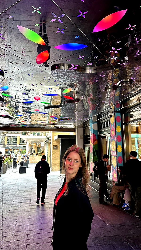 mira.0004 image ~ Altpins