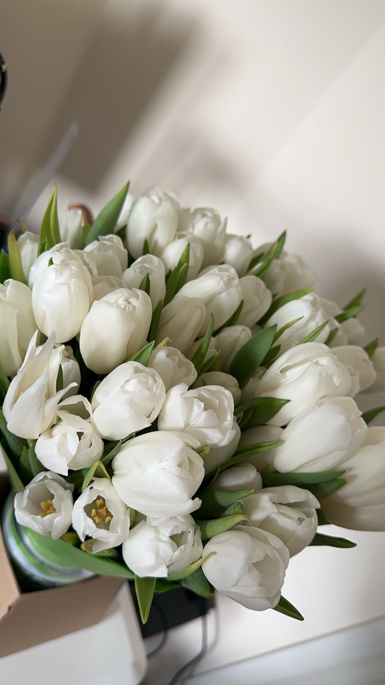 mira.0004 snapchat image archive image