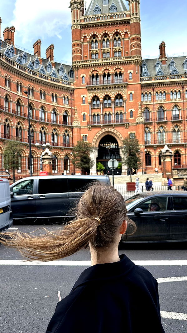 mira.0004 image ~ Altpins