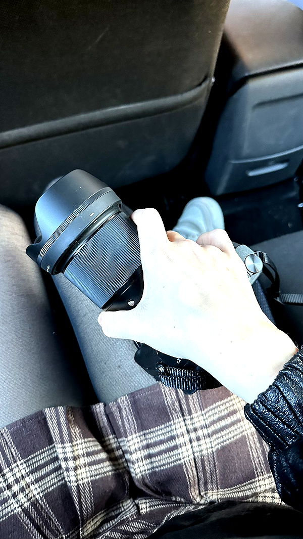 mira.0004 image ~ Altpins