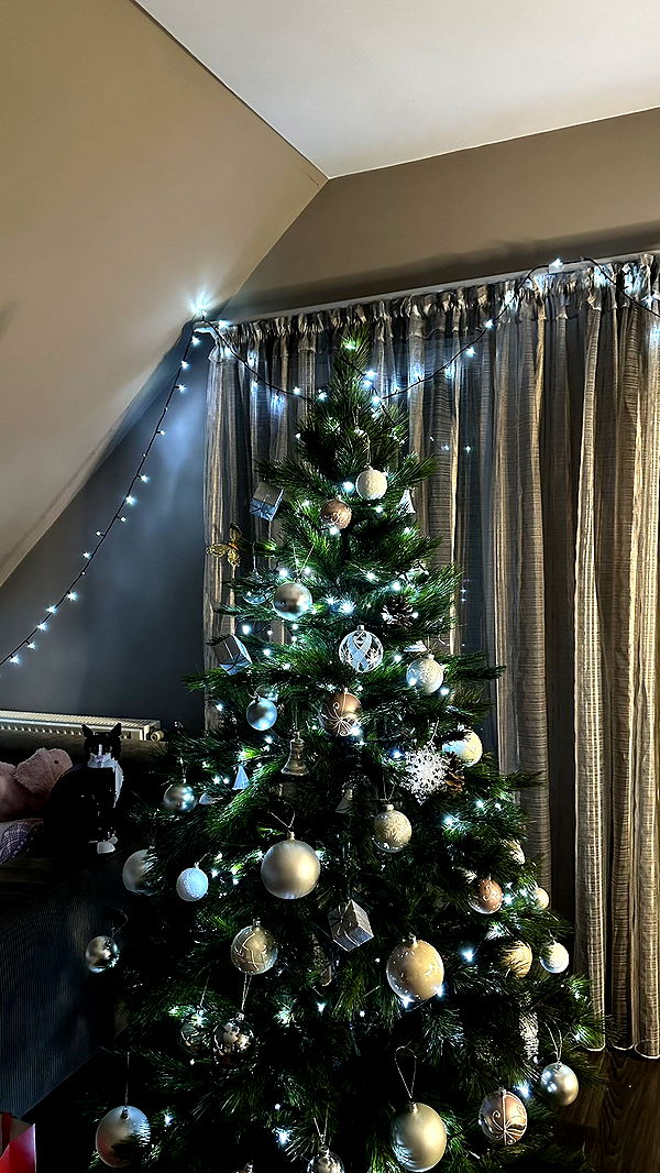 mira.0004 image ~ Altpins