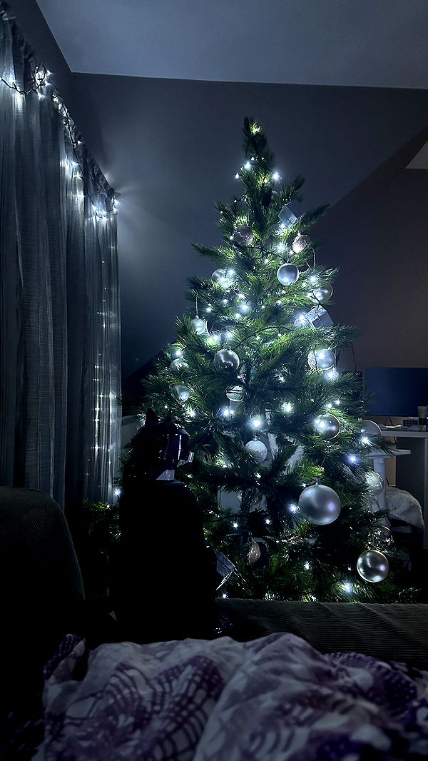 mira.0004 image ~ Altpins