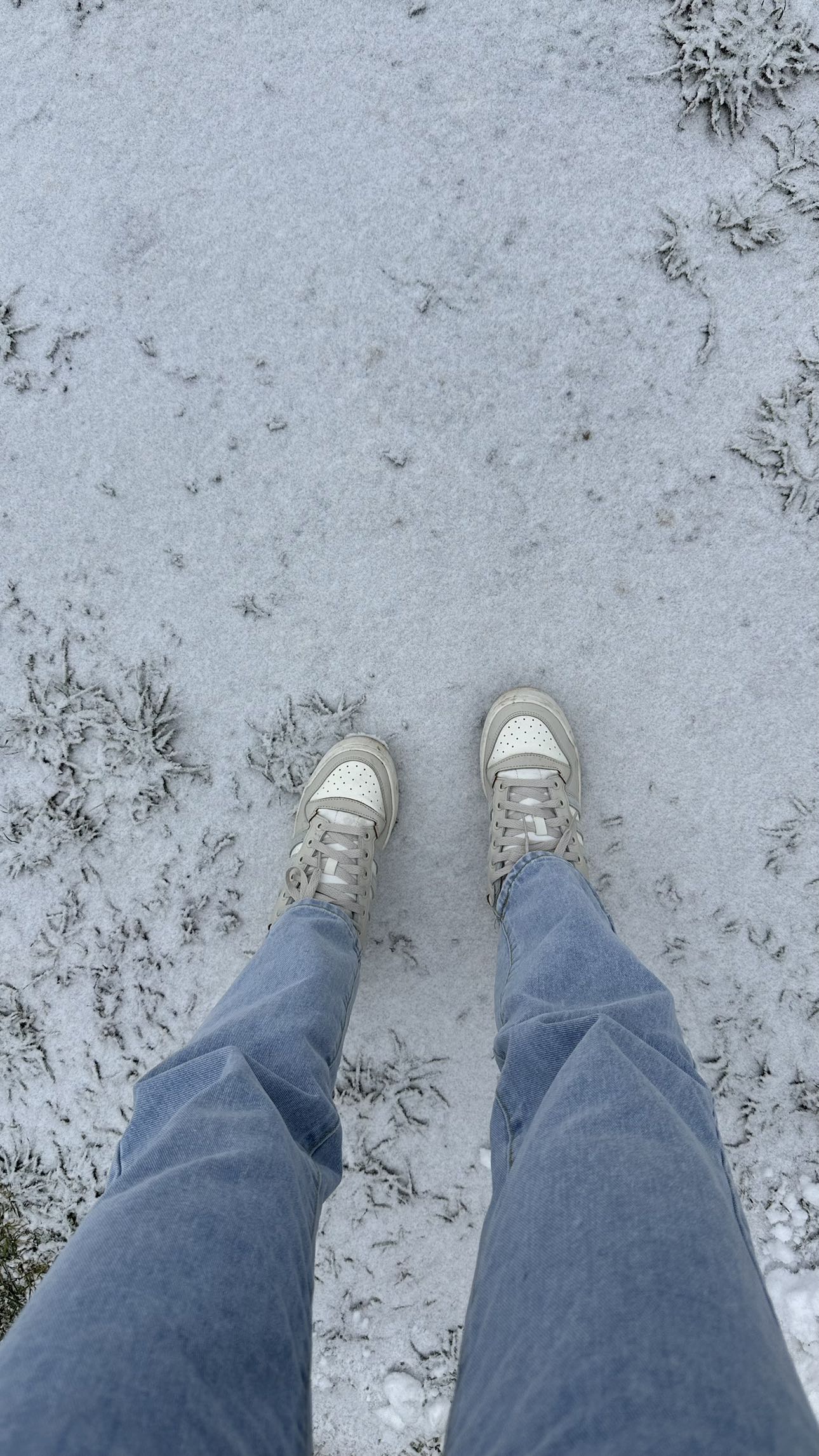 mira.0004 snapchat image archive image