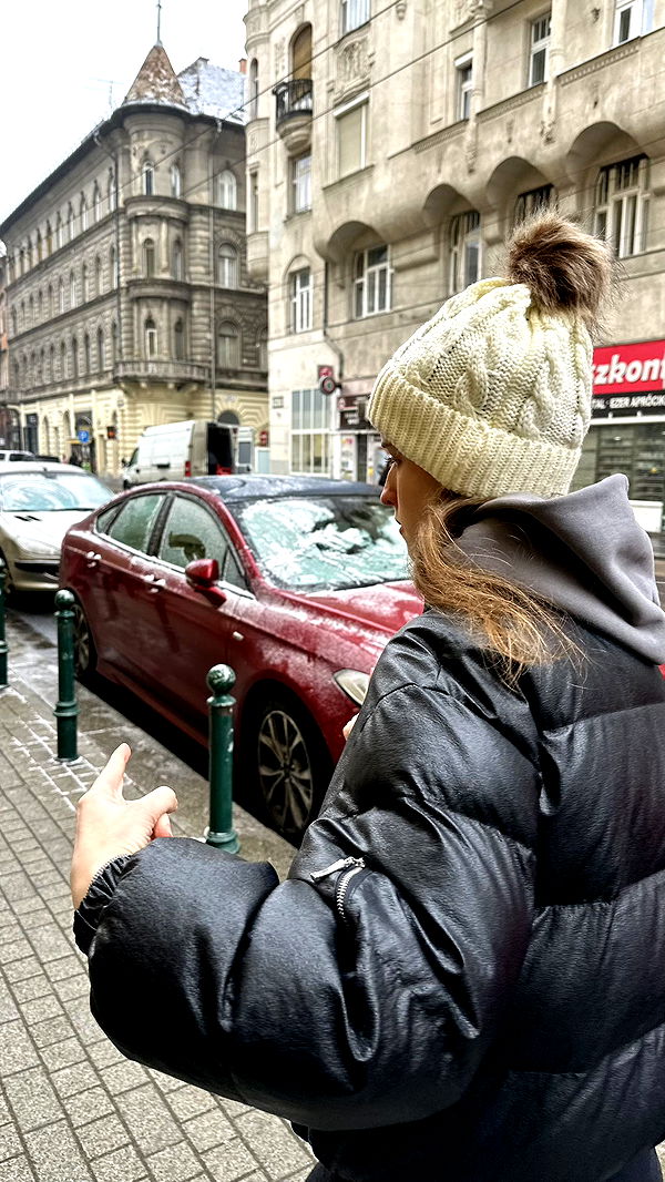 mira.0004 image ~ Altpins