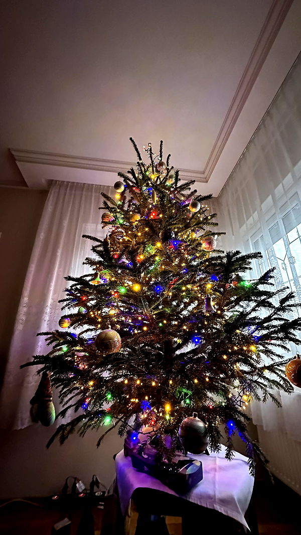 mira.0004 image ~ Altpins