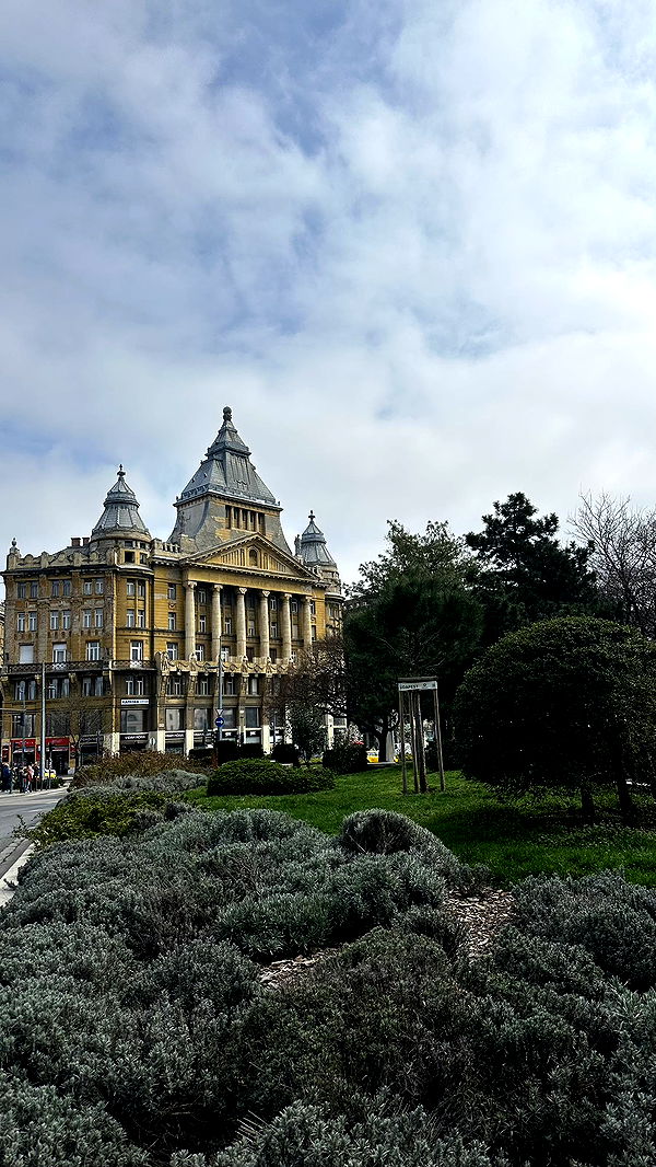 mira.0004 image ~ Altpins