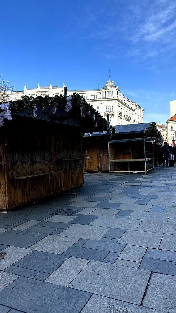 mira.0004 image ~ Altpins