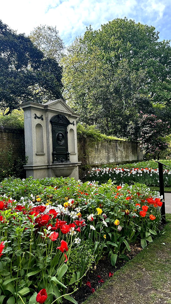 mira.0004 image ~ Altpins