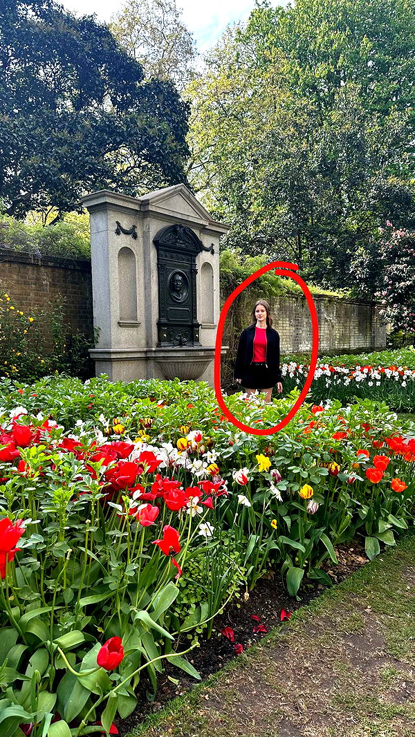 mira.0004 image ~ Altpins