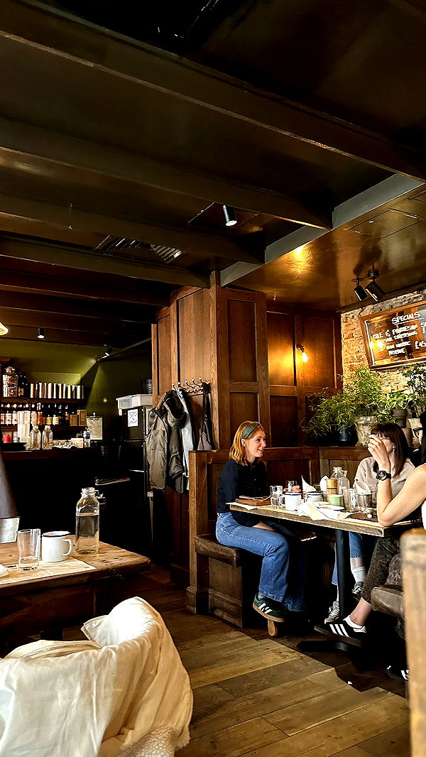 mira.0004 image ~ Altpins