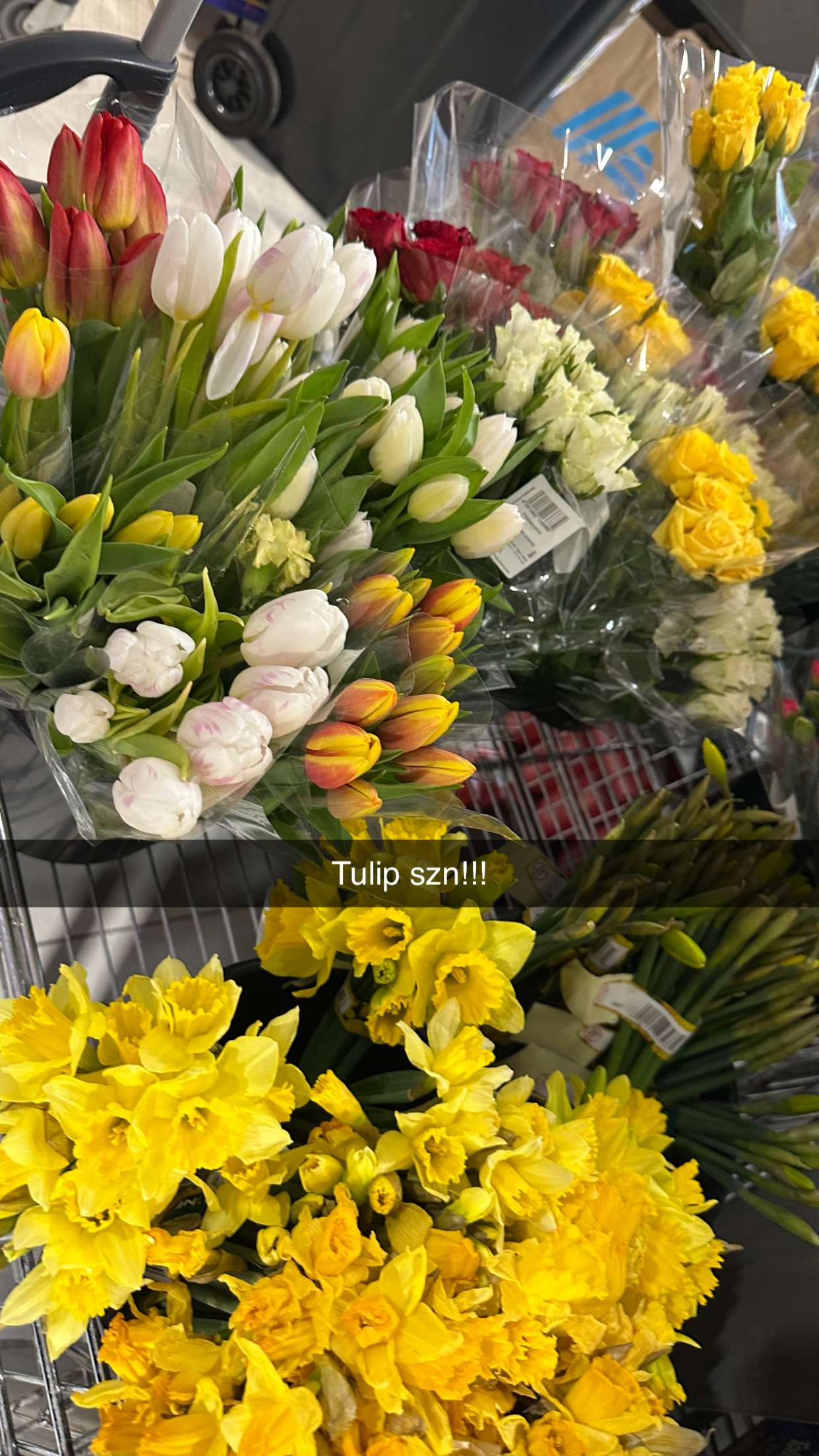 mira.0004 snapchat image archive image