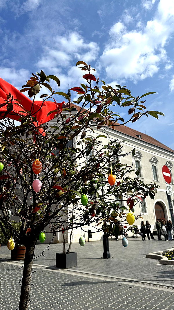 mira.0004 image ~ Altpins