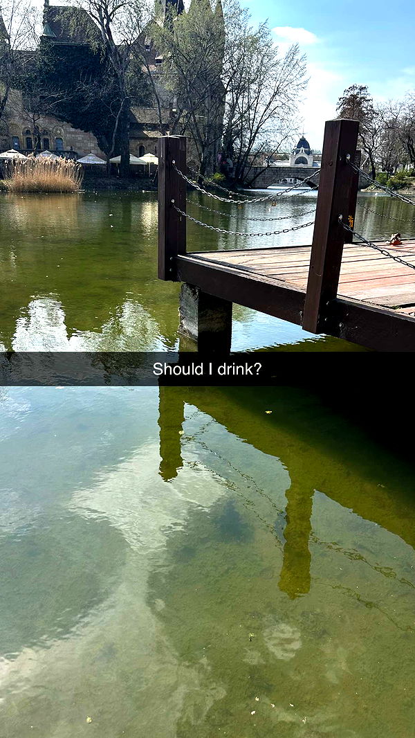 mira.0004 image ~ Altpins