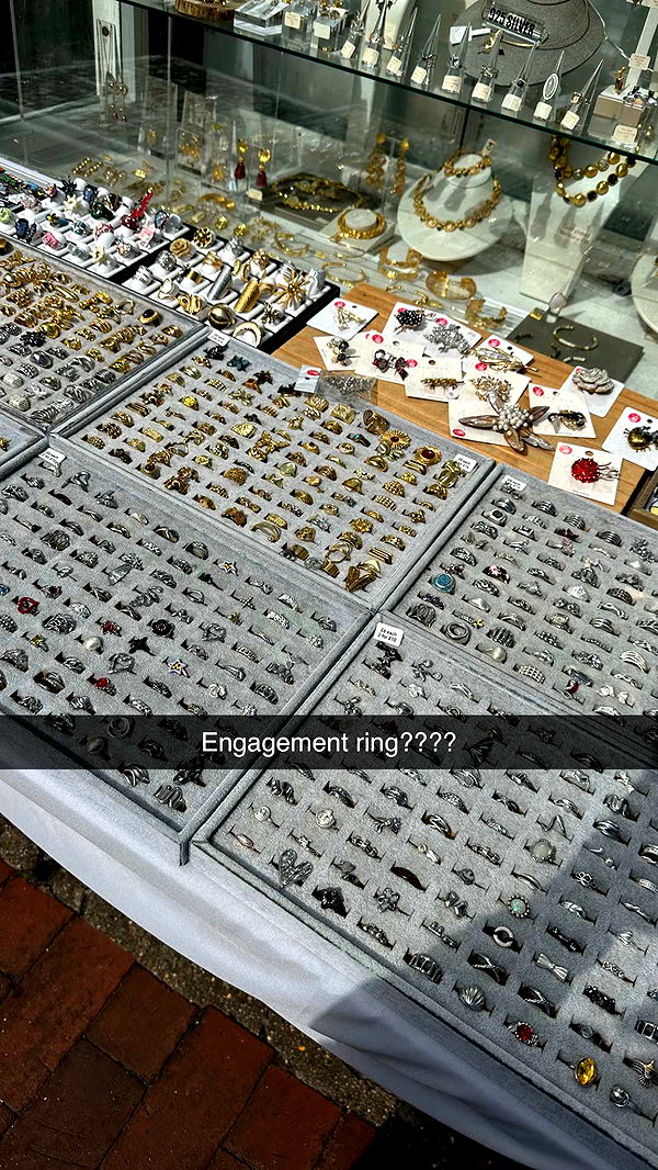 mira.0004 image ~ Altpins