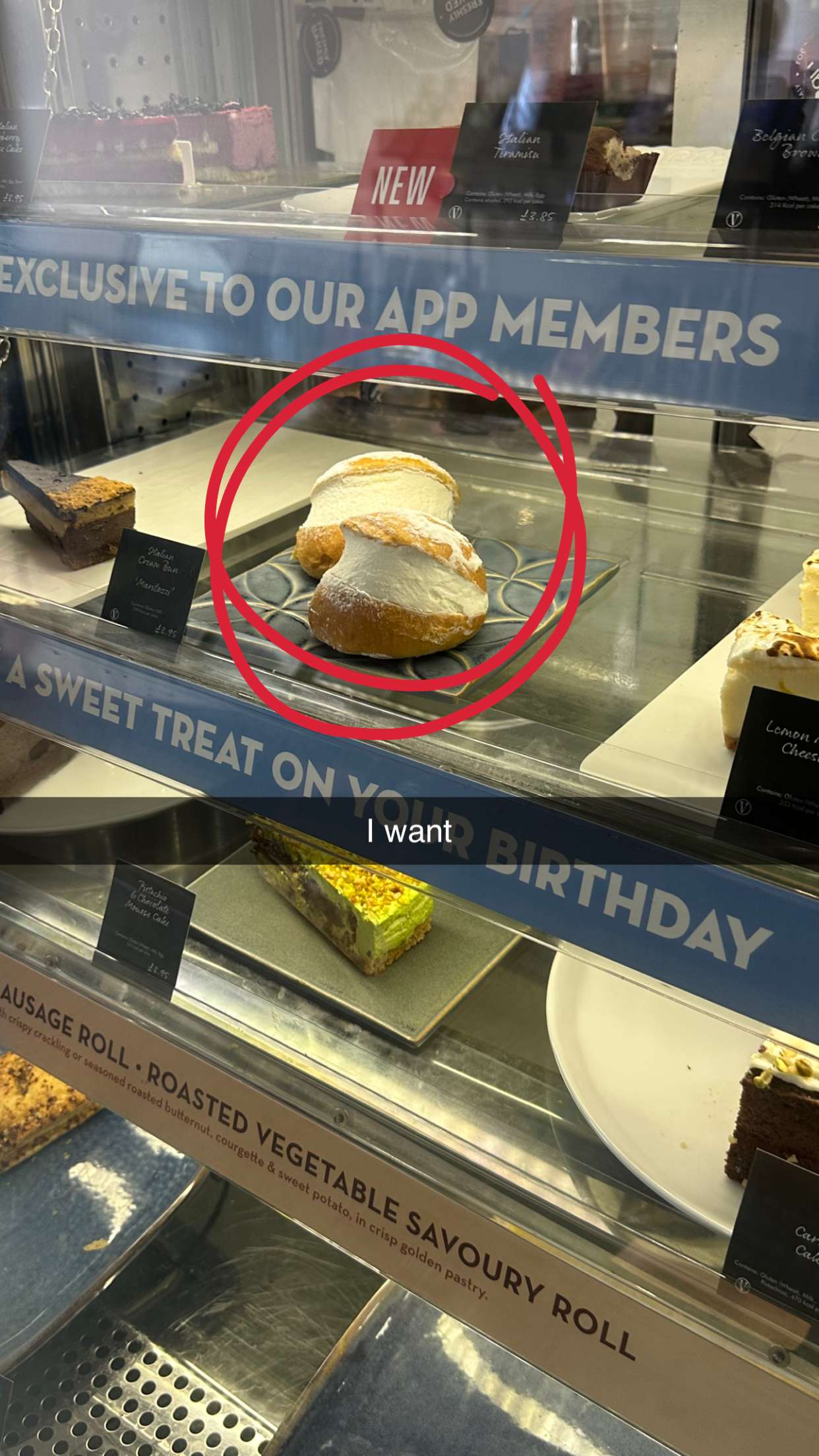 mira.0004 snapchat image archive image