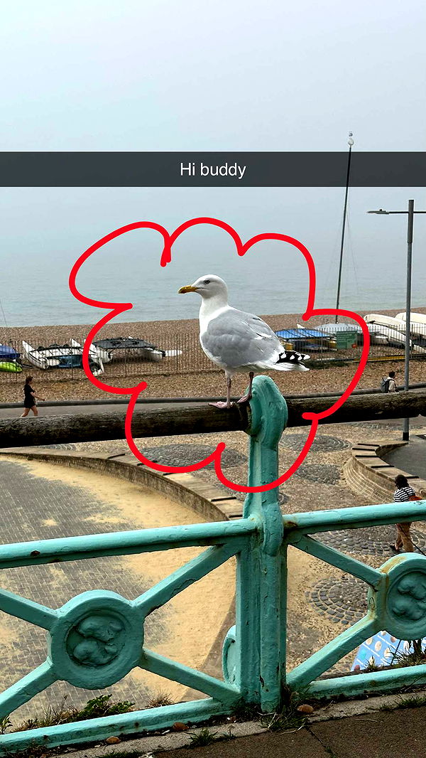 mira.0004 image ~ Altpins