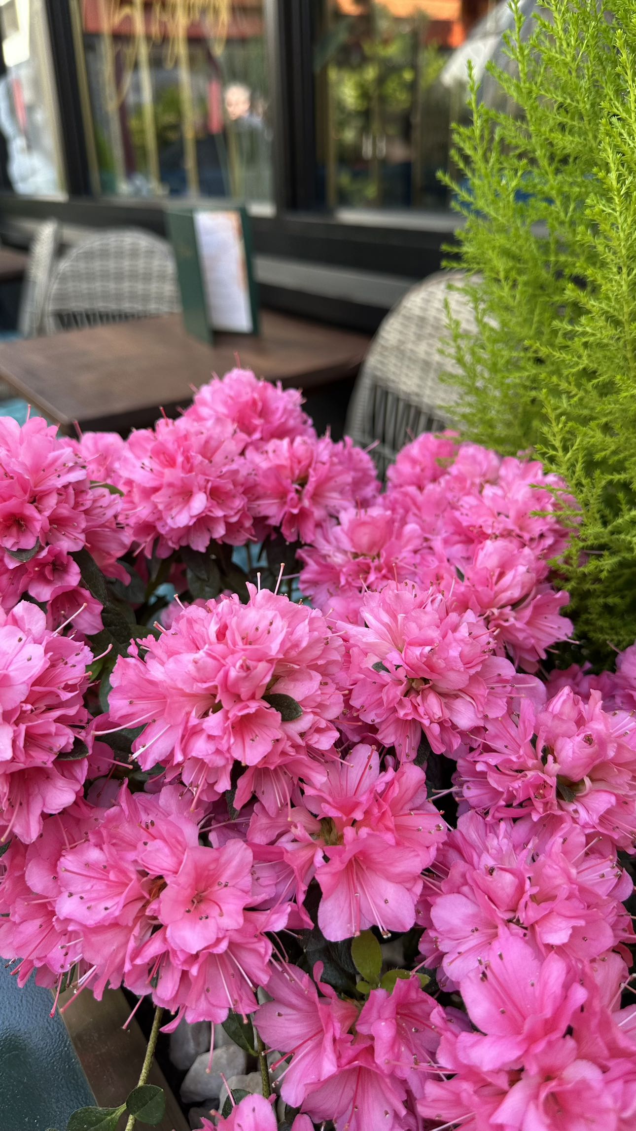 mira.0004 snapchat image archive image