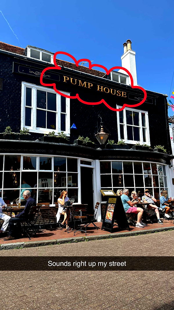 mira.0004 image ~ Altpins