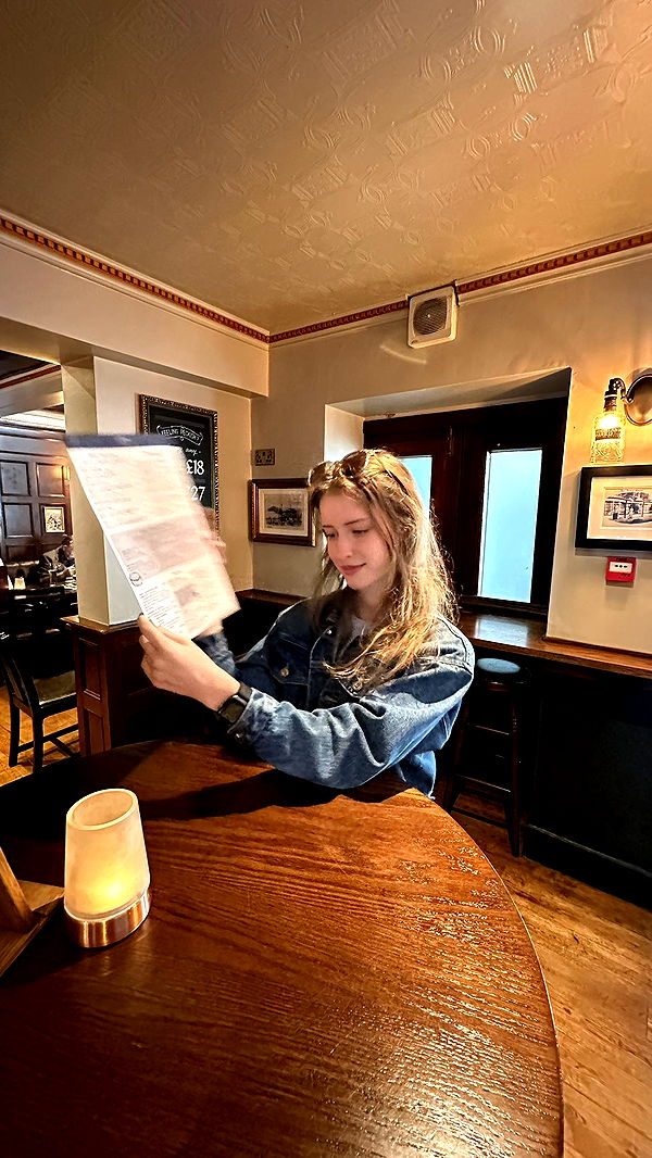 mira.0004 image ~ Altpins