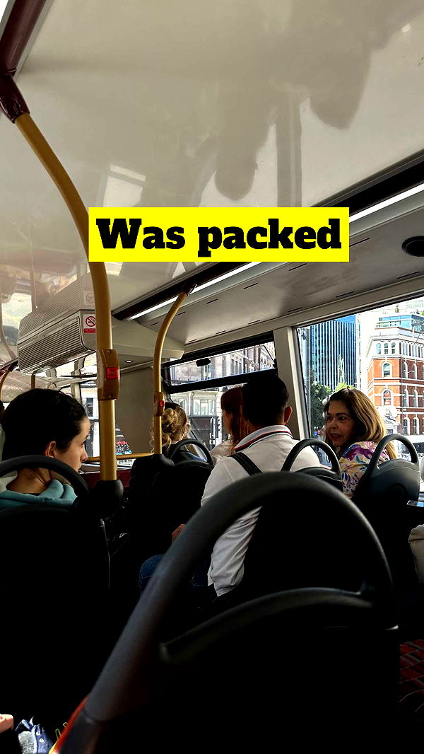 mira.0004 image ~ Altpins